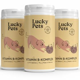 Vitamin B Komplex für Hunde - mit allen 7 B-Vitaminen für Starke Nerven & Immunsystem