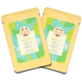 Nachfüllsticks | Cool & Minty | BrainKick Inhalierstifte