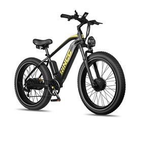 Rincc RN70 Elektro-Mountainbike mit 48V 20AH Akku