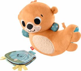 Mattel FISHER PRICE WIPPENDER OTTER HXG96