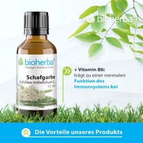 Schafgarbe Achillea millefolium L. 50 ml  PZN 17187451