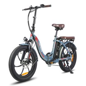 Fafrees F20 Pro Elektro-Citybike mit 36V 18Ah Akku