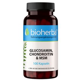 Bioherba Glucosamin, Chondroitin & MSM Kapseln