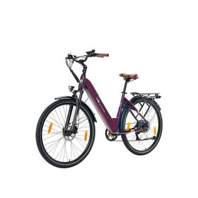 TTGO C3 PRO Elektrofahrrad, 36V 20AH Akku