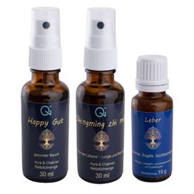 Qi - Health Entgiftung
