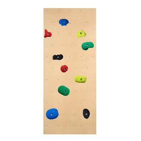 Sport-Thieme Kletterwand für Sprossenwand inkl. Klettergriff-Set Leicht