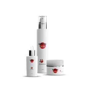 Kiyomi Skin Hautpflege Essential Set