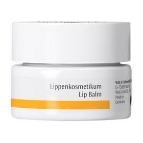 Dr. Hauschka® Lippenkosmetikum