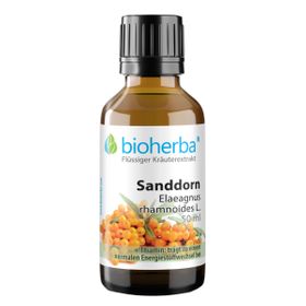 Sanddorn Elaeagnus rhamnoides L. Tropfen Tinktur 50 ml PZN 17187149