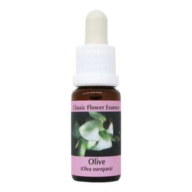 PHI Essences - Olive Bachblüte Nr. 23