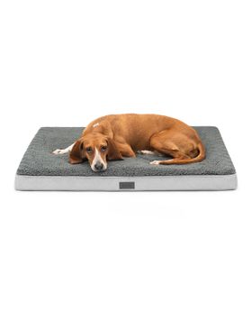 lionto orthopädisches Hundebett