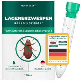 SILBERKRAFT Lagererzwespen gegen Brotkäfer