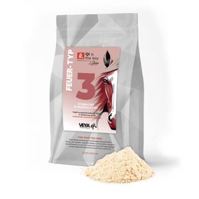 VEYA FEUER-TYP 3 Stabilität & Muskulatur