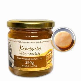 WELLNESS-DRINKS Bio-Kombucha mit lebendem Kombucha-Pilz (SCOBY)