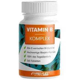 ProFuel - VITAMIN B Komplex