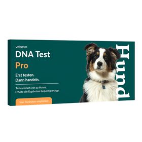 DNA Test Rassebestimmung Pro Hund