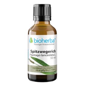 Spitzwegerich Plantago lanceolata L. Tropfen Tinktur 50ml PZN 17187971