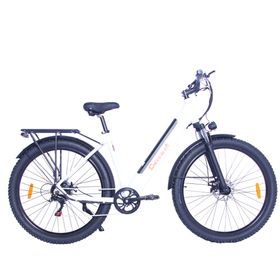 Cheevalry C28 Elektrofahrrad mit 36V 17,5Ah Akku