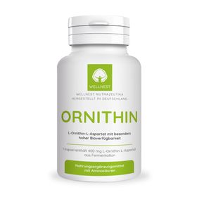 L-Ornithin-L-Aspartat aus Fermentation 400 mg - Wellnest Pflanzenkraft