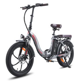 Fafrees F20 Pro Elektro-Citybike mit 36V 18Ah Akku