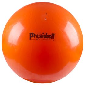 Ledragomma Fitnessball Original Pezziball