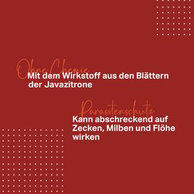 Medidog SPOT ON 50 ml