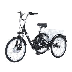Gogobest GF100 Elektro-Lastenrad mit 36V 20Ah Akku, 24 Zoll