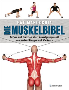 Die Muskelbibel. Aufwärmtraining, Muskelaufbautraining, Kraftausdauertraining,
