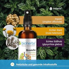 Halsspray Broncho mit Propolis Extrakt 50 ml PZN 17188640