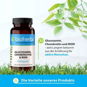 Glucosamin  Chondroitin & MSM 100 Kapseln PZN 17190938