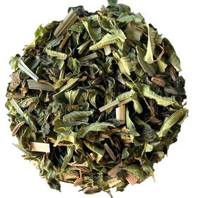 Kräuterkontor Frische Brennnessel