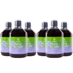 BitterLiebe - Probio Kulturen Komplex - flüssige Darmbakterien mit 15 Milliarden Bakterien