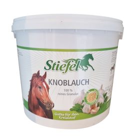 Stiefel Knoblauch