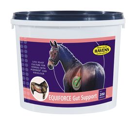 Havens EquiForce Gut Support