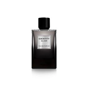 GA-DE IDENTITY SILVER POUR HOMME EDP 100ML