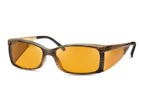Eschenbach Filterbrille Ambelis 16631 65%