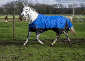 Equitheme Tyrex Outdoordecke