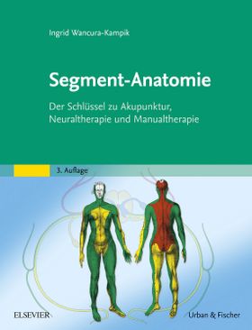 Segment Anatomie