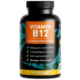 ProFuel - VITAMIN B12 Lutschtabletten