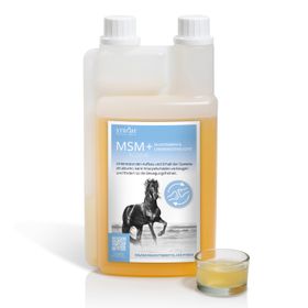 STRÖH MSM+ Glucosamin, Chondroitinsulfat flüssig