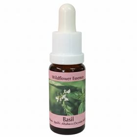 PHI Essences - Basilikum Wildblüten Essenz
