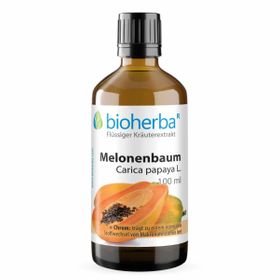 Bioherba Melonenbaum Carica papaya L. Tropfen Tinktur