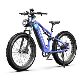 DUOTTS E26 Elektro-Mountainbike mit 48V 20Ah Akku