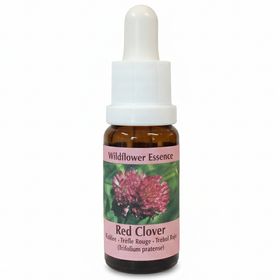 PHI Essences - Rotklee Wildblüten Essenz