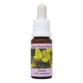 PHI Essences - Gorse Bachblüte Nr. 13