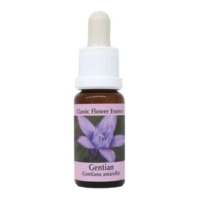 PHI Essences - Gentian Bachblüte Nr. 12