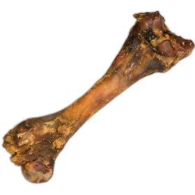 Schecker - Knochen - getrocknet