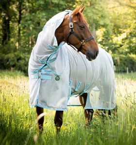 Horseware Fliegendecke AmECO Bug Buster Plus
