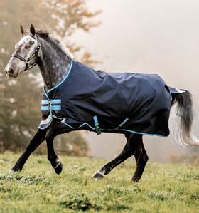 Horseware Amigo Bravo 12 Original Turnout