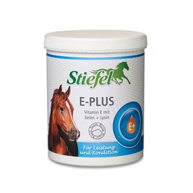 Stiefel E-Plus Pulver